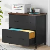 Store Tribesigns 2 - Drawer File Cabinet, Lateral Filing Cabinet Printer Stand
