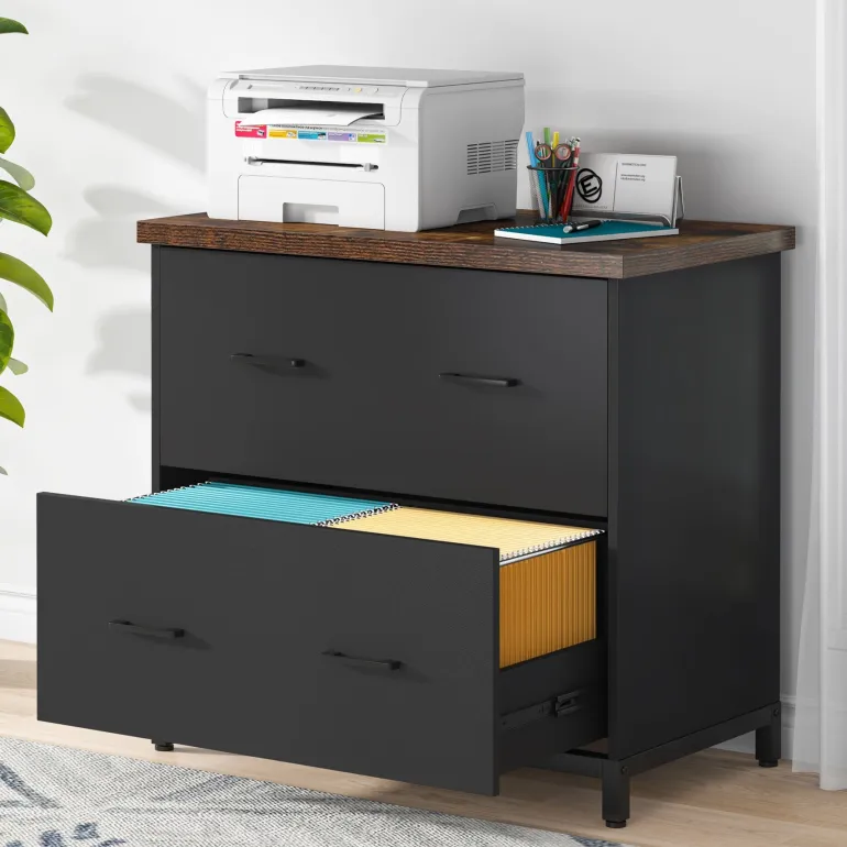 Store Tribesigns 2 - Drawer File Cabinet, Lateral Filing Cabinet Printer Stand