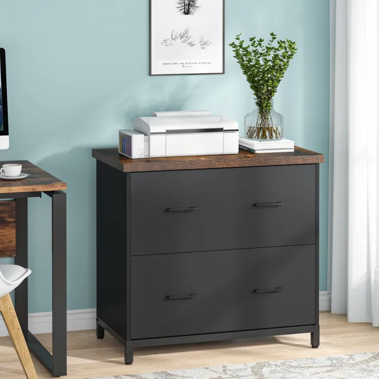 Store Tribesigns 2 - Drawer File Cabinet, Lateral Filing Cabinet Printer Stand