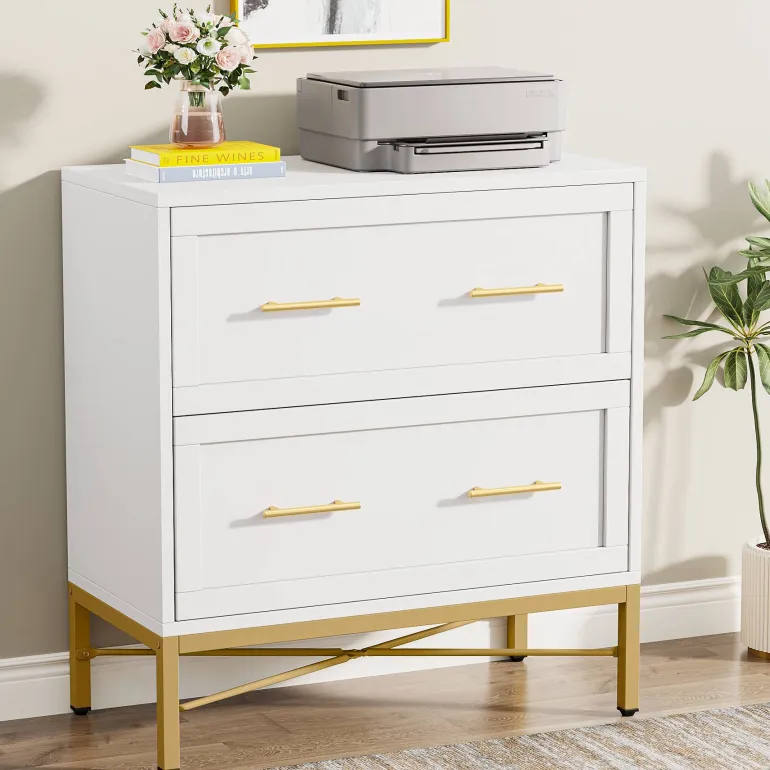 Cheap Tribesigns 2 - Drawer File Cabinet, Lateral Storage Cabinet Printer Stand