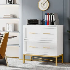 Cheap Tribesigns 2 - Drawer File Cabinet, Lateral Storage Cabinet Printer Stand