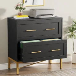 Cheap Tribesigns 2 - Drawer File Cabinet, Lateral Storage Cabinet Printer Stand