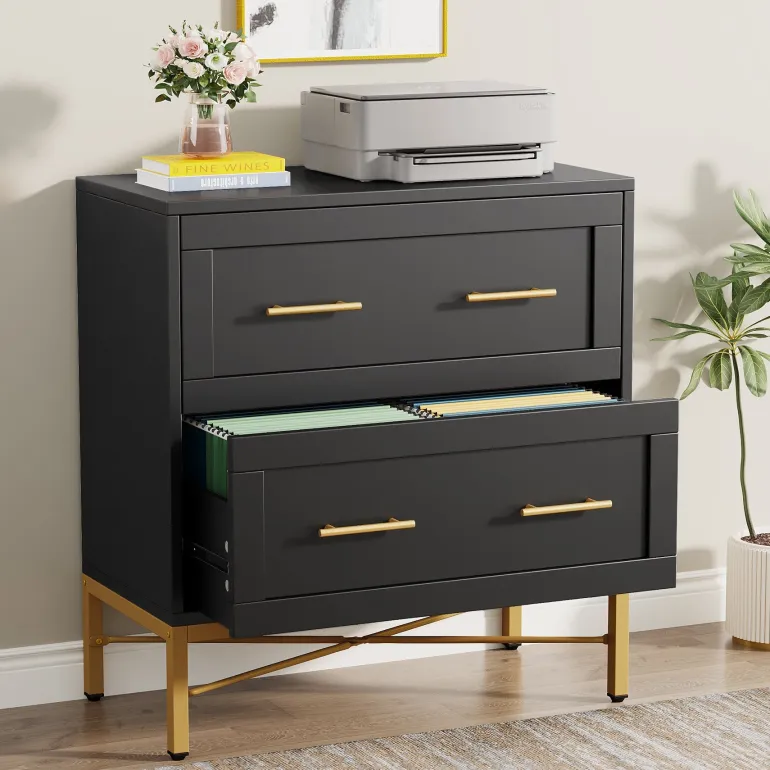 Cheap Tribesigns 2 - Drawer File Cabinet, Lateral Storage Cabinet Printer Stand