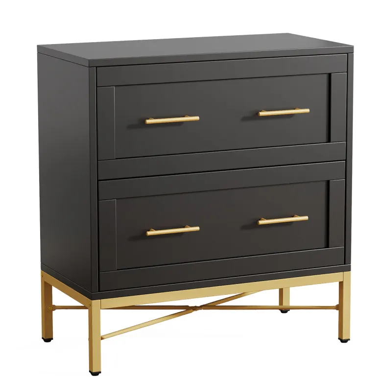 Cheap Tribesigns 2 - Drawer File Cabinet, Lateral Storage Cabinet Printer Stand