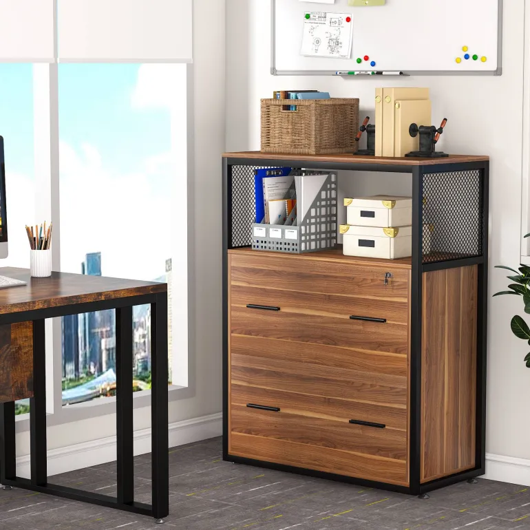 Discount Tribesigns 2 - Drawer File Cabinet, Letter/Legal / A4 Size Filing Cabinet with Lock