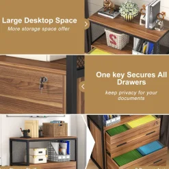 Discount Tribesigns 2 - Drawer File Cabinet, Letter/Legal / A4 Size Filing Cabinet with Lock