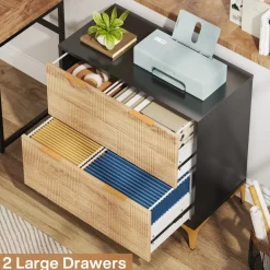 Hot Tribesigns 2 - Drawer File Cabinet, Modern Filing Cabinet with Adjustable Hanging Bar