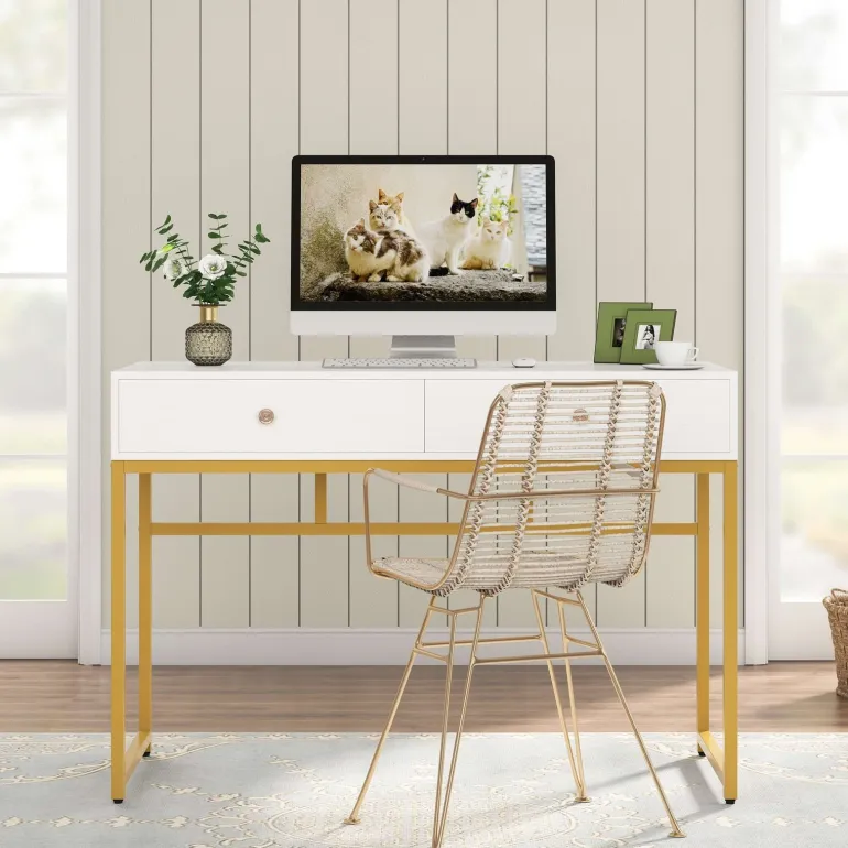Discount Tribesigns Computer Desk with 2 Drawers, Multifunctional Study Writing Desk
