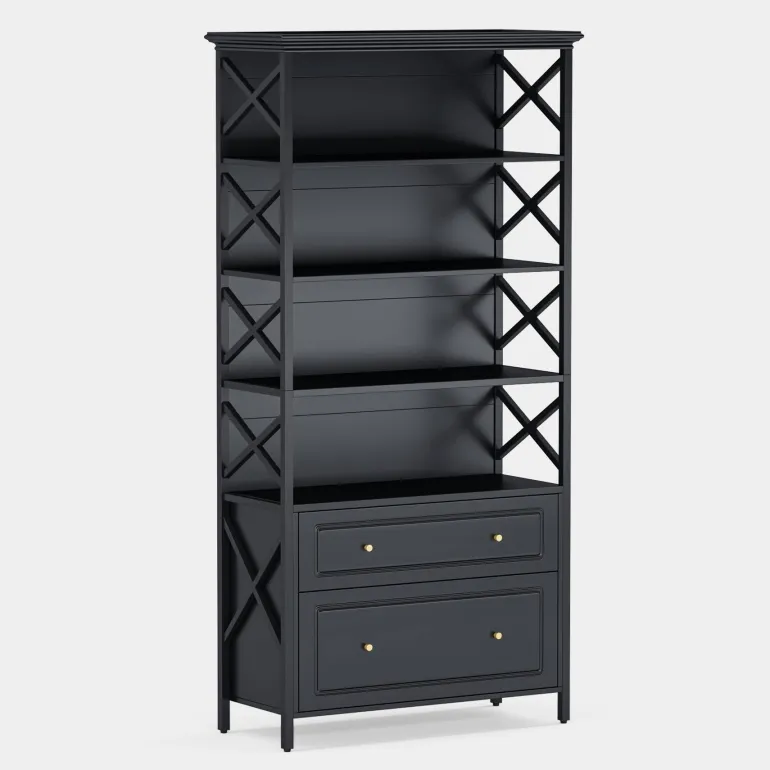 Store Tribesigns File Cabinet, 2 Drawer Vertical Filling Cabinet with Storage Shelves