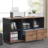 Discount Tribesigns File Cabinet, 43 inches Mobile Filing Cabinet for Letter Size