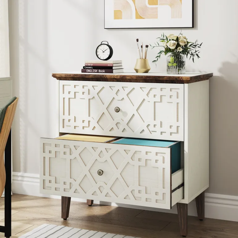 Store Tribesigns Wood File Cabinet, 2-Drawer Filing Cabinet Storage Cabinet